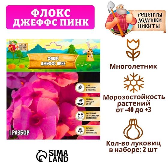 Флокс &quot;Джеффс Пинк&quot; р-р I, 2 шт, Весна 2025