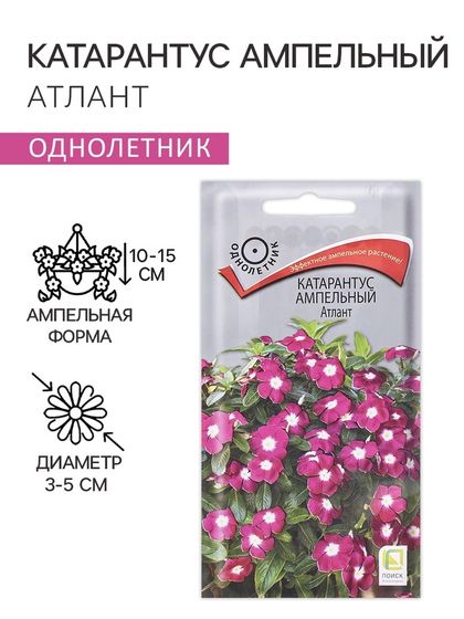 Семена цветов Катарантус ампельный &quot;Атлант&quot;, 10 шт