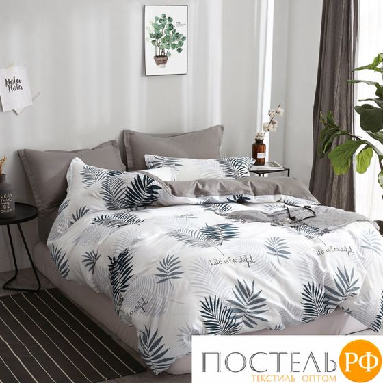 TPIG5-1249-70 КОД1059 КПБ Twill Семейный 70x70 (2 шт) Сатин (Твил) Коробка