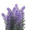 Цветочная композиция &quot;Лаванда&quot;, L10 W10 H20 см