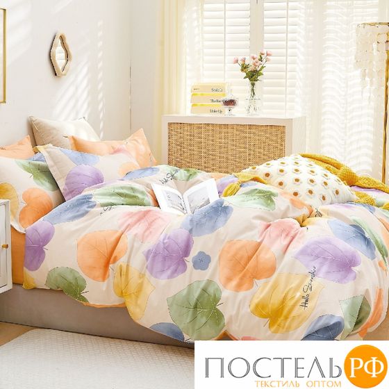 TPIG6-1678 КОД1038, КПБ Twill евро 4 наволочки, 50x70 (2 шт), 70x70 (2 шт), Сатин (Твил), Коробка