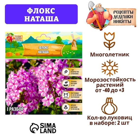 Флокс &quot;Наташа&quot; р-р I, 2 шт, Весна 2025