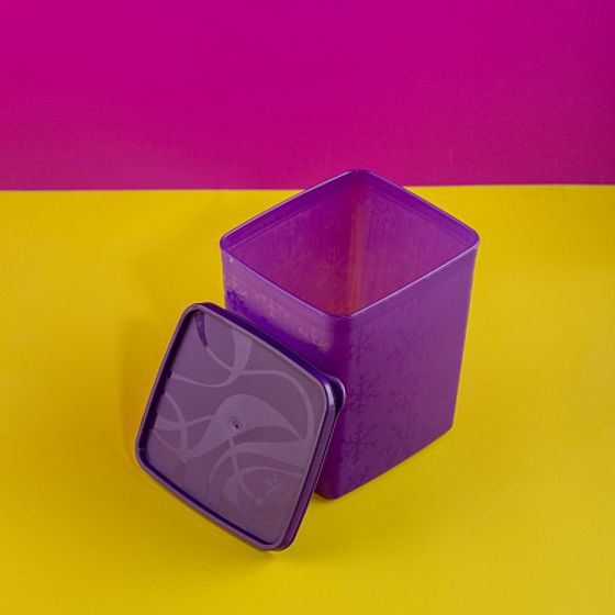 Контейнер для заморозки ALASKA 2л фиолетовый