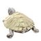 Фигурка декоративная &quot;Черепаха&quot;, L9 W6,5 H4 см