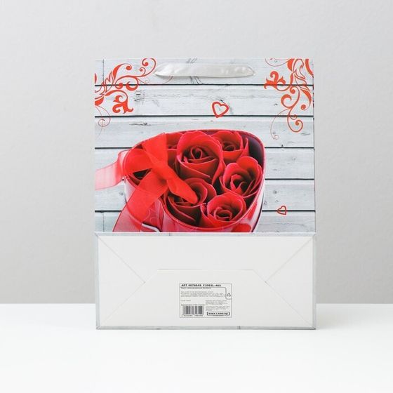 !09 Пакет (набор 3 штуки) ламинированный 26 x 32 x 12 см.