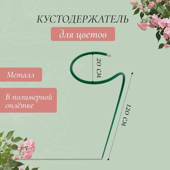 Кустодержатель для цветов, d = 20 см, h = 120 см, ножка d = 1 см, металл, зелёный