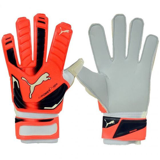 Puma Evo Power Grip 2 Aqua 41145 30