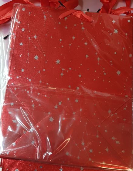 !09 Пакет-крафт подарочный/набор 3 штуки/ &quot;Олени&quot; 22*25*12 см.