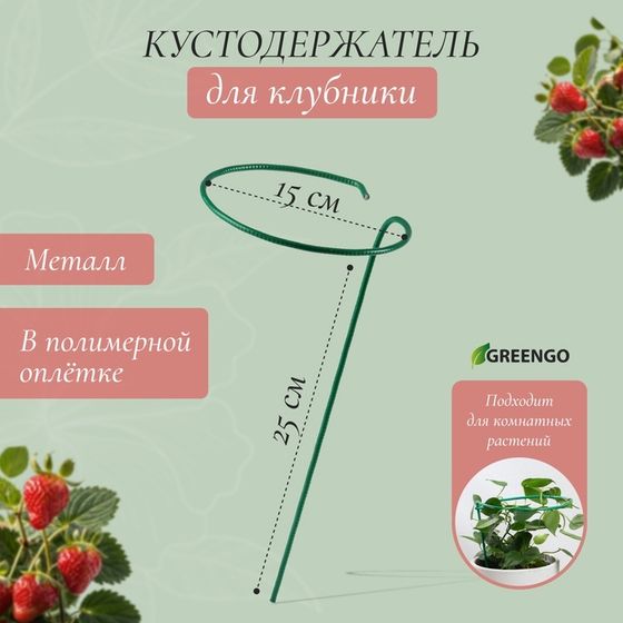 Кустодержатель для клубники, d = 15 см, h = 25 см, ножка d = 0,3 см, металл, зелёный, Greengo