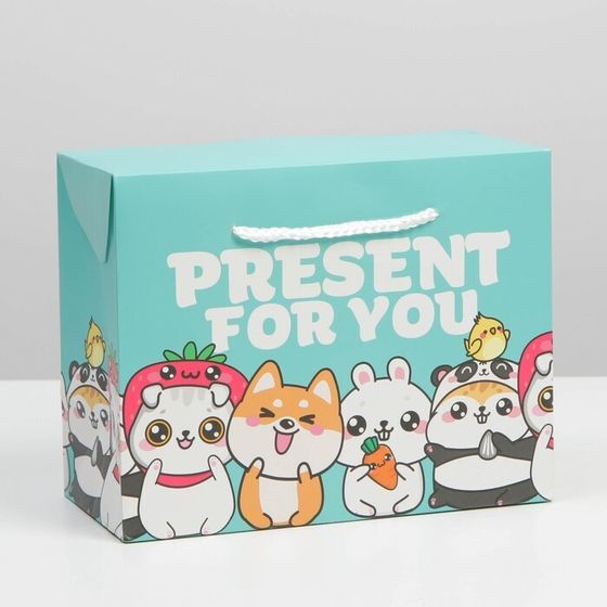 Пакет—коробка Present, 2 штуки, 23 × 18 × 11 см