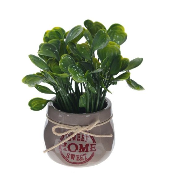 Цветочная композиция, L12 W12 H18 см, 4в.