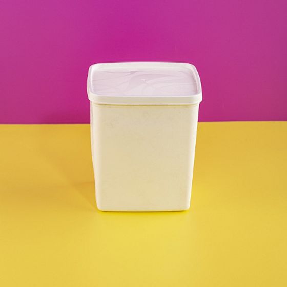 Контейнер для заморозки ALASKA 2л белый