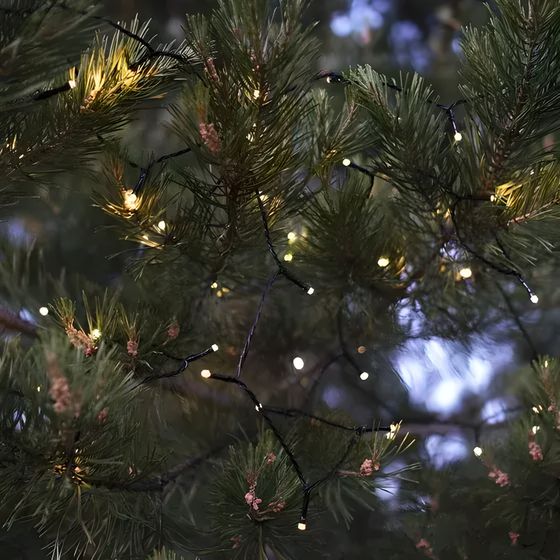 !Гирлянда «Нить» 10 м, IP44, УМС, тёмная нить, 100 LED, свечение тёплое белое, 220 В