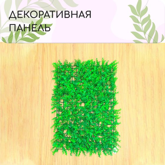 Декоративная панель, 60 × 40 см, «Самшит», Greengo