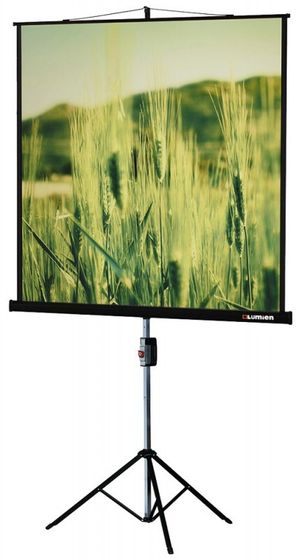 Экран Lumien 127x127см Master Picture LMP-100101 1:1 настенно-потолочный рулонный
