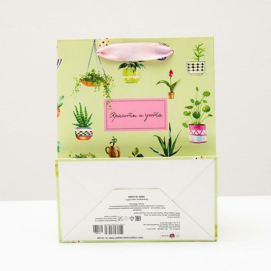 !НАБОР 6 ШТУК - Пакет подарочный "Красоты и уюта", 18 х 22,3 х 10 см