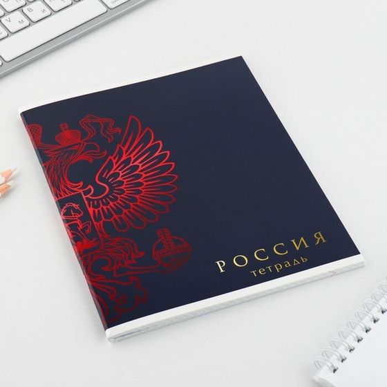 !Тетрадь А5, 48 л на скрепке 3 штуки МИКС «Шрифтовые яркие», обложка мелованный картон 230 гр., внутренний блок №1, в клетку 80 гр., белизна 96%!