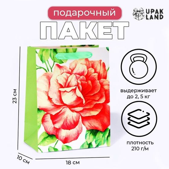 Пакет ламинированный «Цветок», MS 18×23×10 см