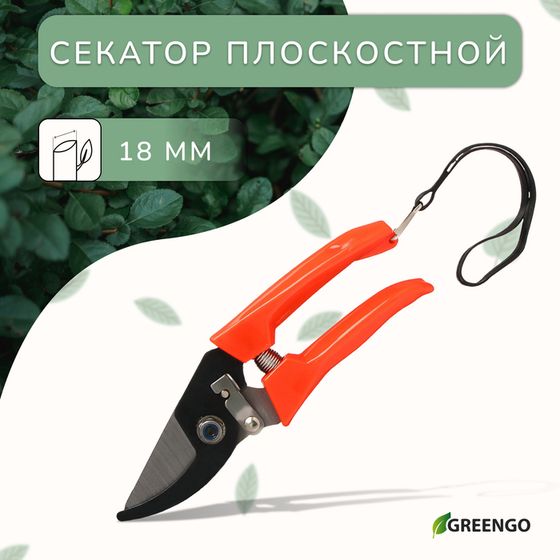 Секатор плоскостной, 7&quot; (18 см), с пластиковыми ручками, Greengo