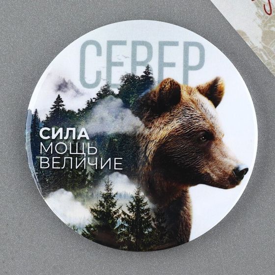 Магнит закатной &quot;Север&quot;