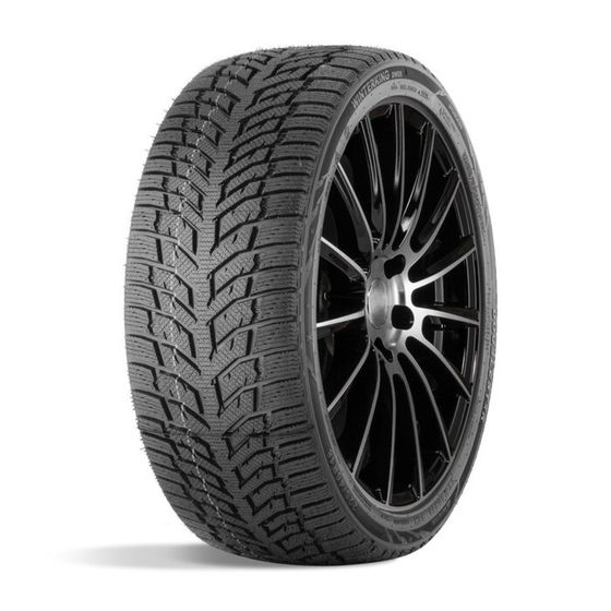 Шина зимняя нешипуемая DOUBLESTAR DW08 155/70 R13 75T