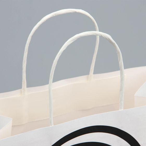 !Пакет подарочный, упаковка, «С Дэ Рэ», 22 х 22 х 11 см