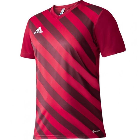 Adidas Entrada 22 Graphic Jersey Jr.H58983