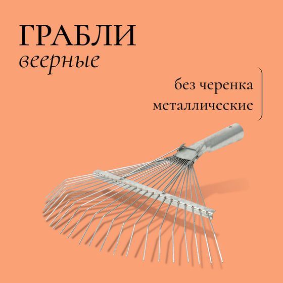 Грабли веерные, проволочные, 22 зубца, оцинкованные, тулейка 25 мм, без черенка