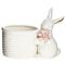 Конфетница "Заяц", 300 мл, L16 W9 H13 см