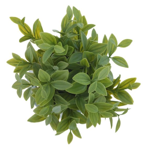 Цветочная композиция, L12 W12 H20 см, 4в.