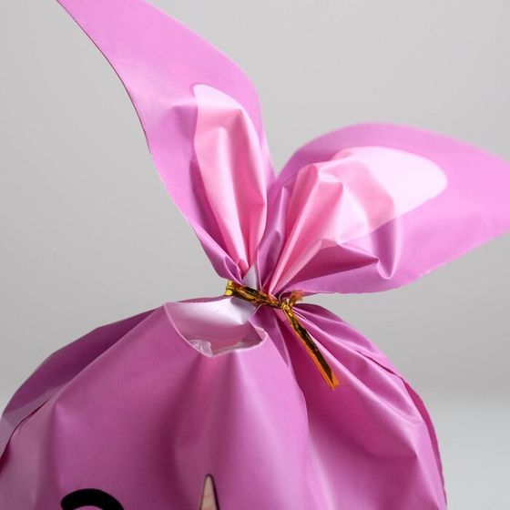 !Мешок подарочный 10 штук «Единорог», 16 × 26 см