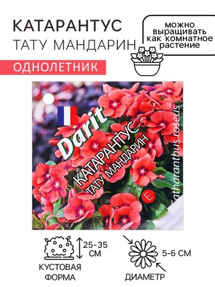 Семена цветов Катарантус &quot;Тату Мандарин&quot;, 7 шт