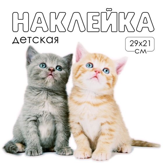 Наклейка 3Д интерьерная Котики 29*21см