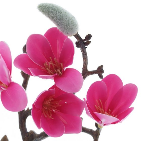 Цветочная композиция "Магнолия", L16 W12 H28 см