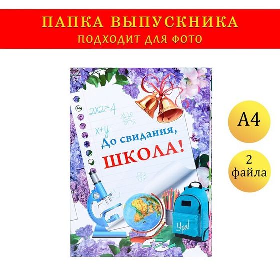 Папка с двумя файлами А4 на выпускной «До свидания, школа!»