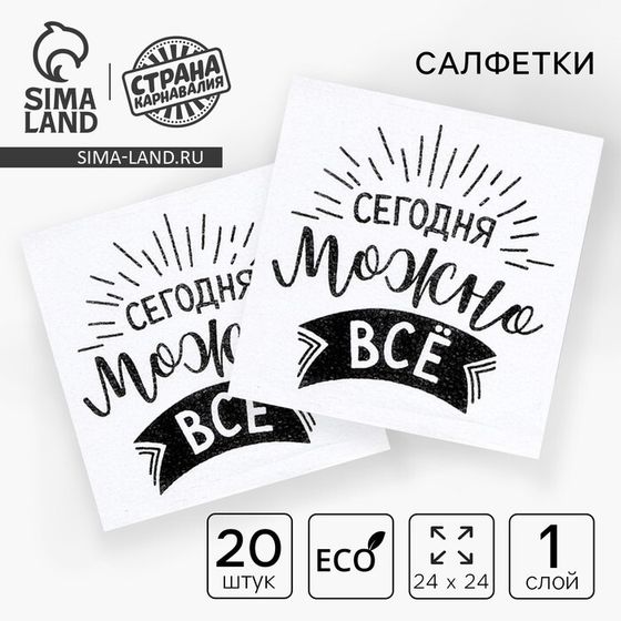 Салфетки бумажные «Сегодня можно всё», однослойные, 24х24 см, набор 20 шт.