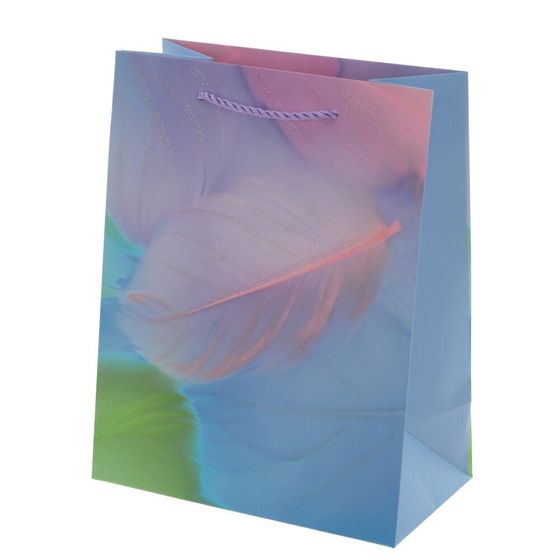 Пакет подарочный (бумага 210г/м2, блок микс 12шт), L18 W10 H23 см, 4в.