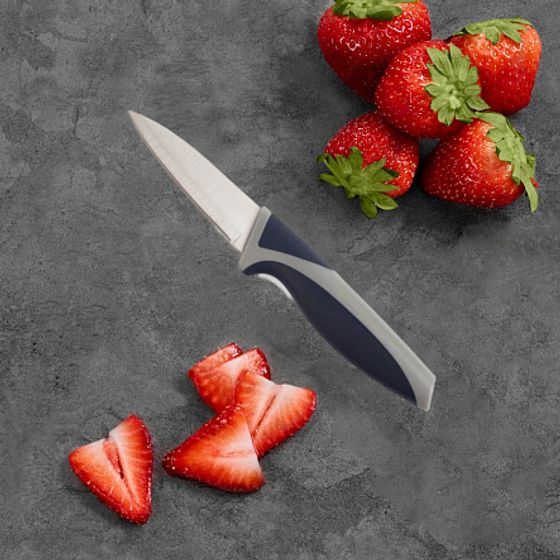 Нож для фруктов FJORD 9см, пластиковый чехол