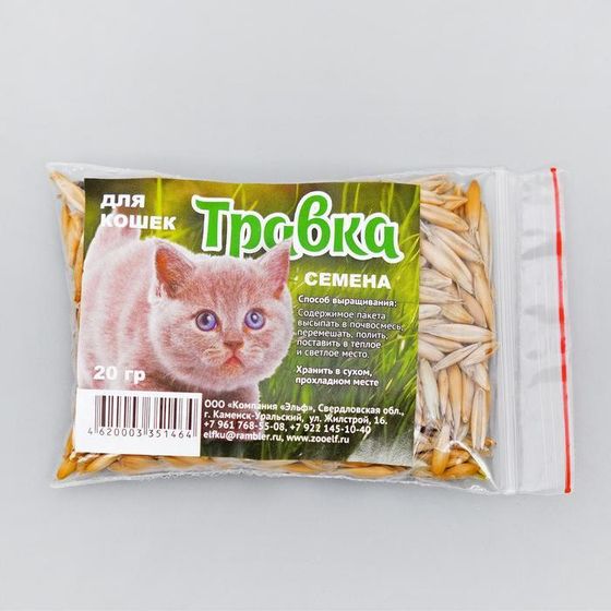 Семена &quot;Травка для проращивания&quot;, пакет, 20 г