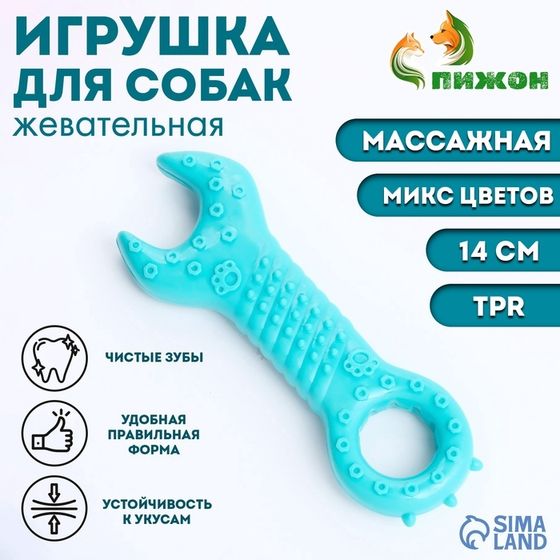 Игрушка массажная для собак &quot;Ключ&quot; 14 см, ТПР, микс цветов
