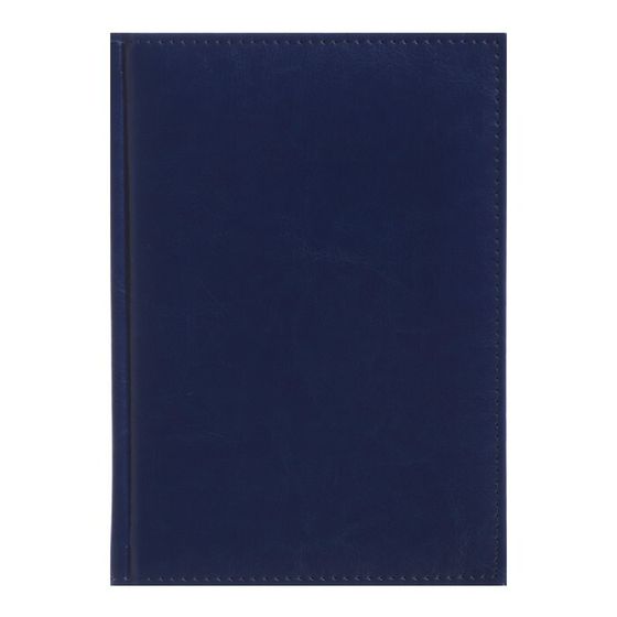Ежедневник недатированный А5, 160 листов &quot;Небраска&quot;, обложка искусственная кожа, перфорация углов, синий