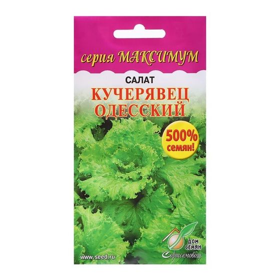 Семена Салат &quot;Кучерявец Одесский&quot;, максимум, 3600 шт