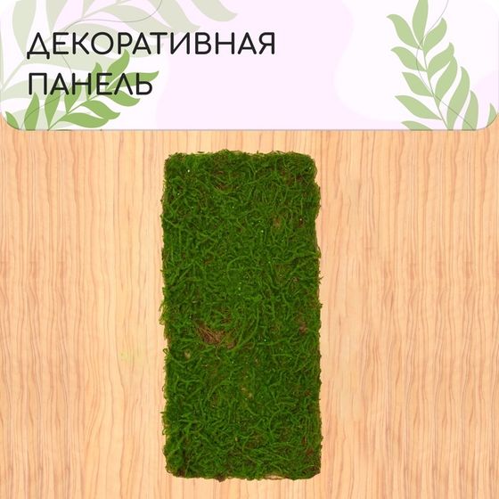 Декоративная панель, 90 × 40 см, «Папоротник», Greengo