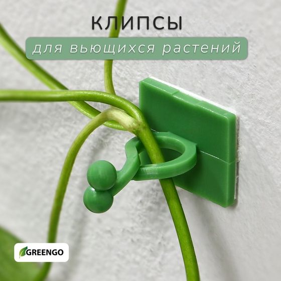 Крепления для вьющихся растений, самоклеящиеся, d = 9 мм, цвет МИКС, Greengo