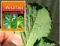 !09 Алатар для защиты растений от вредителей 5 мл. От колорадского жука, гусениц, тли, трипсов, долгоносика, пилильщика, луковых мушек, моли