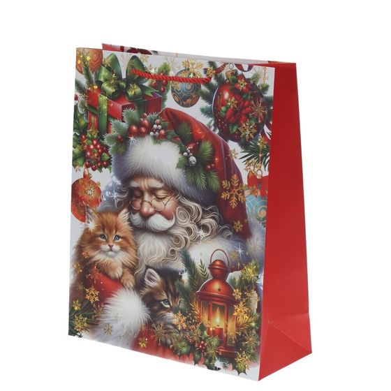 Пакет подарочный (бумага 210г/м2, блок 12шт), L30 W12 H41 см, 4в.