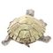 Фигурка декоративная &quot;Черепаха&quot;, L13,5 W11,5 H5 см