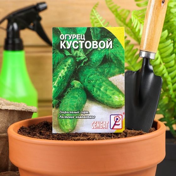 Семена Огурец &quot;Кустовой&quot;, 0,5 г