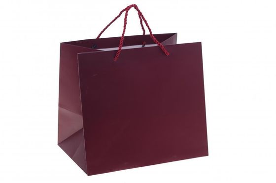 Пакет подарочный (бумага 230г/м2, блок 12шт), L28 W20 H25 см, 5в.