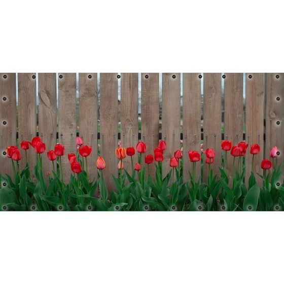 Фотосетка, 314 × 155 см, с фотопечатью, люверсы шаг 0.3 м, «Тюльпаны»